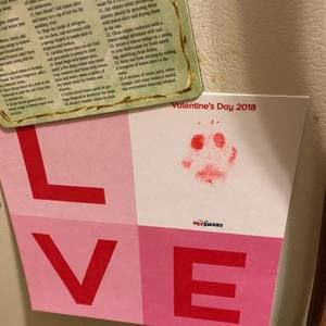 Meet your Posher, Jenny